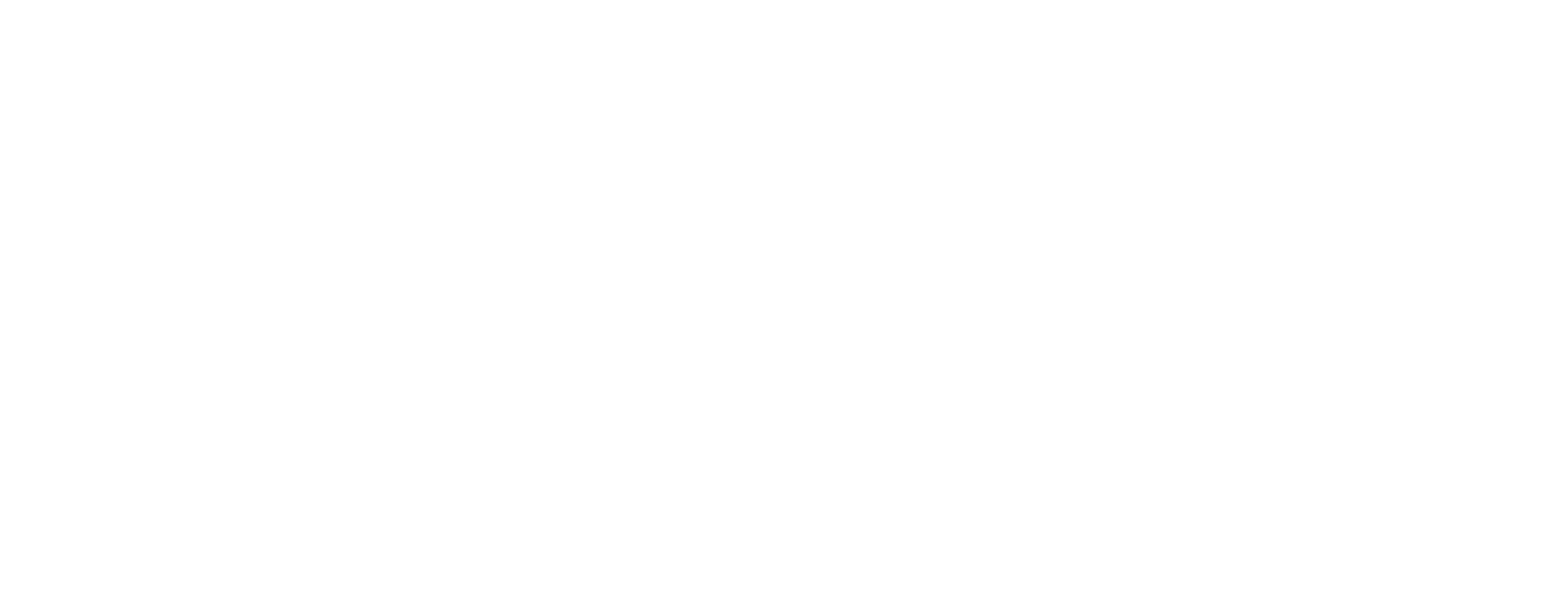 LOCAL SUSPECT logo